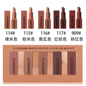 不沾杯六色口紅貼牌OEM/ODM