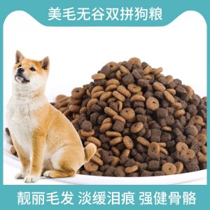 山東萊德寵物用品有限公司