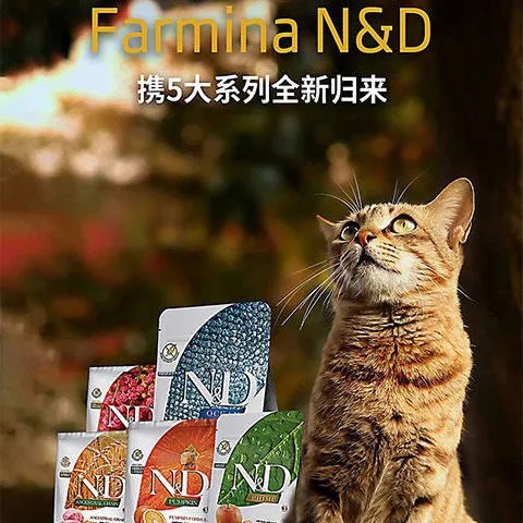 甜橙無谷成幼貓糧貼牌OEM/ODM 甜橙無谷成幼貓糧貼牌OEM/ODM