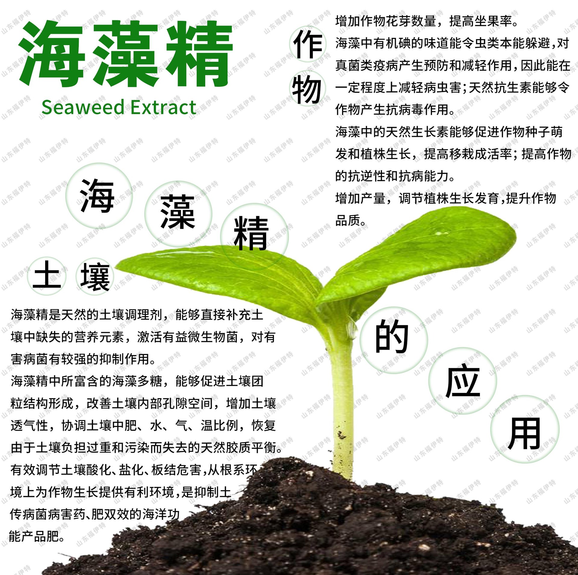 海藻精土壤調(diào)理劑OEM代加工