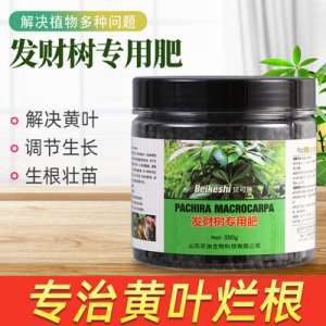 發(fā)財樹用肥料OEM代加工