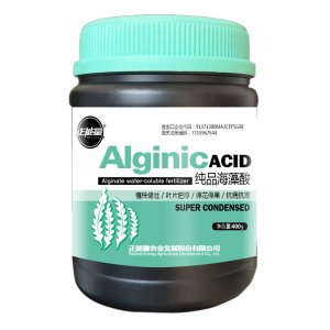 山東國正農(nóng)業(yè)發(fā)展有限公司