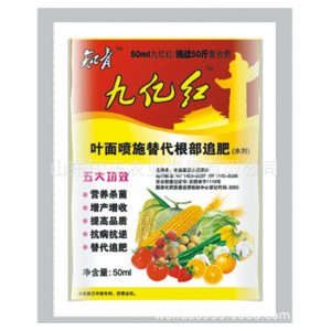 山東國正農(nóng)業(yè)發(fā)展有限公司
