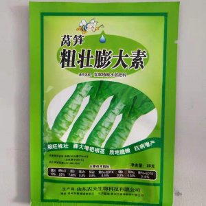 山東農夫萵筍粗壯膨大素貼牌OEM/ODM