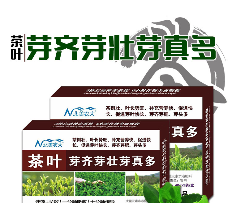 茶葉芽齊芽壯代加工oem,價格美麗