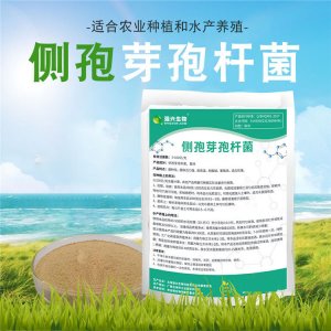 側孢芽孢桿菌貼牌OEM/ODM