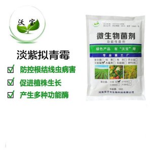 淡紫擬青霉高效殺滅線蟲(chóng)OEM/ODM代加工