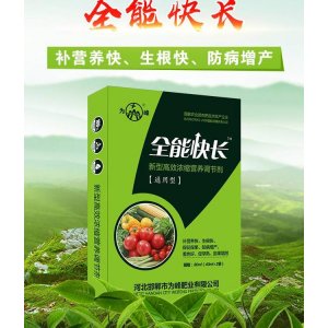 邯鄲市為峰肥業(yè)有限公司