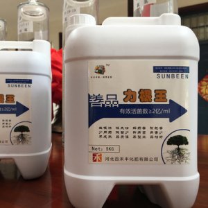 力根王貼牌OEM/ODM