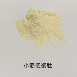 小麥低聚肽粉貼牌定制代加工