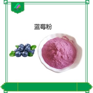 藍莓果粉OEM/ODM定制代加工 藍莓果粉OEM/ODM定制代加工