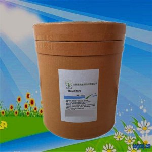 L-抗壞血酸棕櫚酸酯貼牌OEM/ODM L-抗壞血酸棕櫚酸酯貼牌OEM/ODM