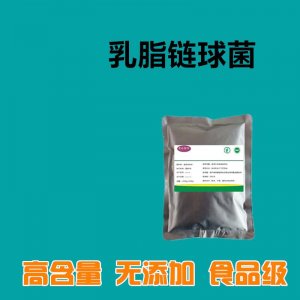 乳脂鏈球菌OEM代加工 乳脂鏈球菌OEM代加工