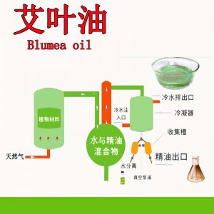 吉安市榮盛植物有限公司