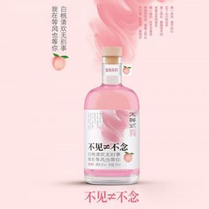不等式蜜桃茉莉果酒300mlOEM代加工 不等式蜜桃茉莉果酒300mlOEM代加工