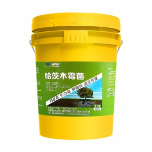 山東繭蜂生物科技有限責(zé)任公司