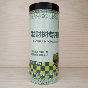發(fā)財樹專用肥發(fā)財樹肥料綠蘿發(fā)財樹多肉專用肥盆栽復(fù)合肥花肥家用OEM代加工