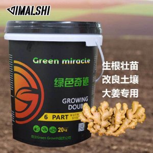 進(jìn)口原料液體生根肥 腐植酸水溶肥土壤沖施肥 大姜專(zhuān)用貼牌定制代加工