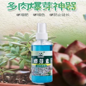 多肉肥料爆芽分裂葉面肥通用肥貼牌OEM/ODM