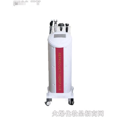 菲斯曼產(chǎn)后綜合修復(fù)儀