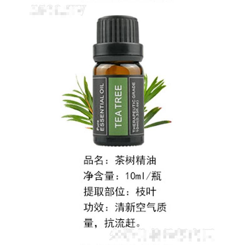 茶樹(shù)精油 10ml