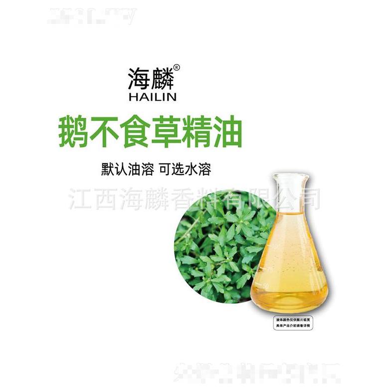 海麟鵝不食草精油