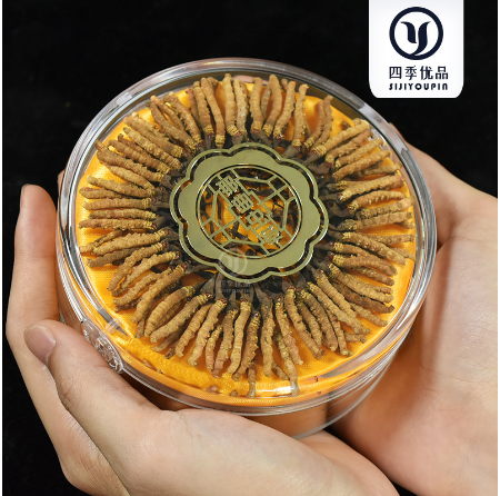 西藏那曲冬蟲夏草OEM貼牌代工