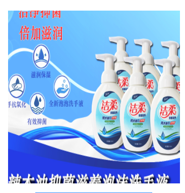 辣木籽泡沫洗手液OEM代加工