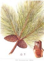 湖南金捷生物工程有限公司