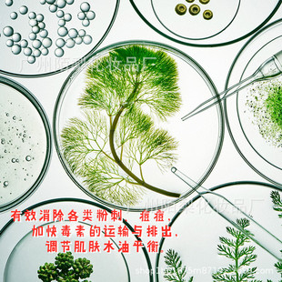 粉刺無(wú)痕水OEM代加工