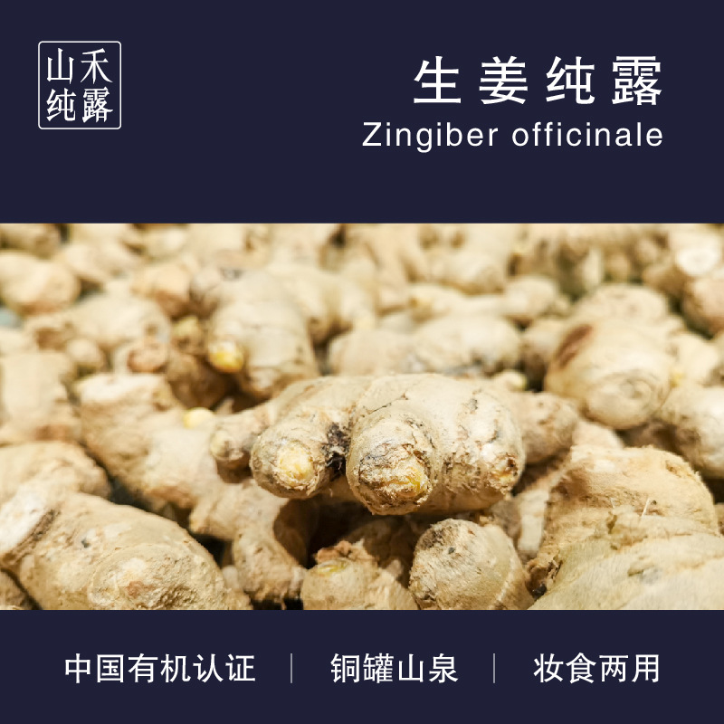 三伏天養(yǎng)生姜露劑功能飲料 有機(jī)生姜純露OEM代加工