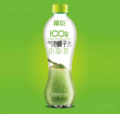 氣泡椰子水飲料460ml(瓶)OEM代加工
