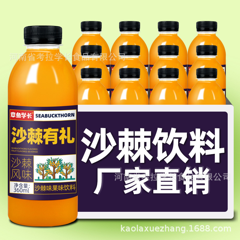 沙棘味果味飲料360ml瓶裝爆款一件代發(fā)廠家直銷沙棘汁OEM代加工