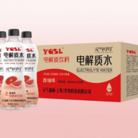 元?dú)舛６ｋ娊赓|(zhì)水西柚味OEM代加工