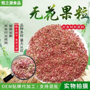 無花果碎廠家批發(fā)供應無花果粒烘焙糕點奶茶裝飾使用原料