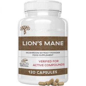 猴頭菇膠囊菌菇補充劑mushrooms lion's mane hericium capsu