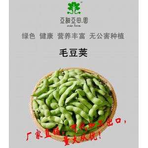 速凍毛豆臺灣枝豆;出口冷凍蔬菜;價格面議;批發(fā)加工工廠