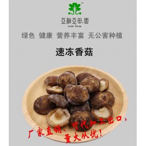 速凍香菇，出口品質，生產工廠，可貼牌定制加工