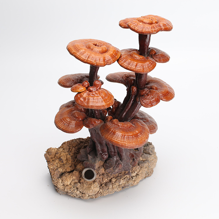 觀賞靈芝小盆栽O(shè)EM代加工