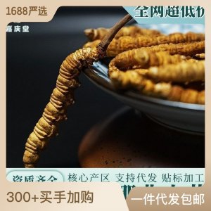 西藏那曲冬蟲(chóng)夏草正品凍干 傳統(tǒng)滋補(bǔ)品營(yíng)養(yǎng)品 蟲(chóng)草干貨源頭批發(fā)