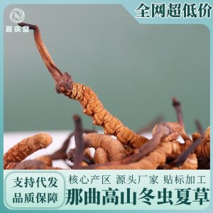那曲冬蟲夏草源頭產(chǎn)地直收正品實(shí)體看貨蟲草滋補(bǔ)品批發(fā)代發(fā)非青海