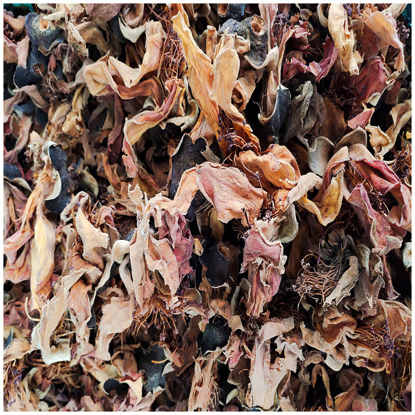 大朵木棉花花干OEM代加工