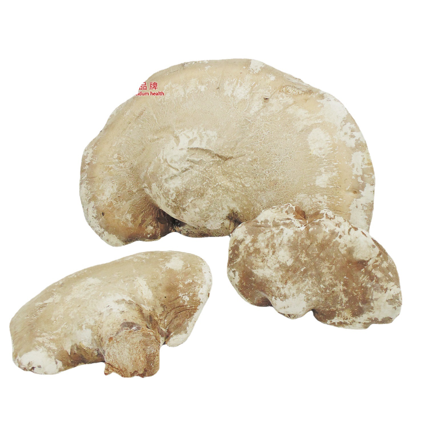 白剝管菌菌藻類玉芝OEM代加工