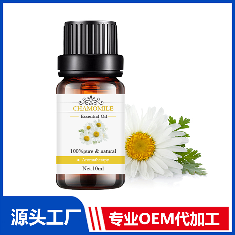 洋甘菊Chamomile植物提取精油現(xiàn)貨批發(fā) 精油OEM代加工
