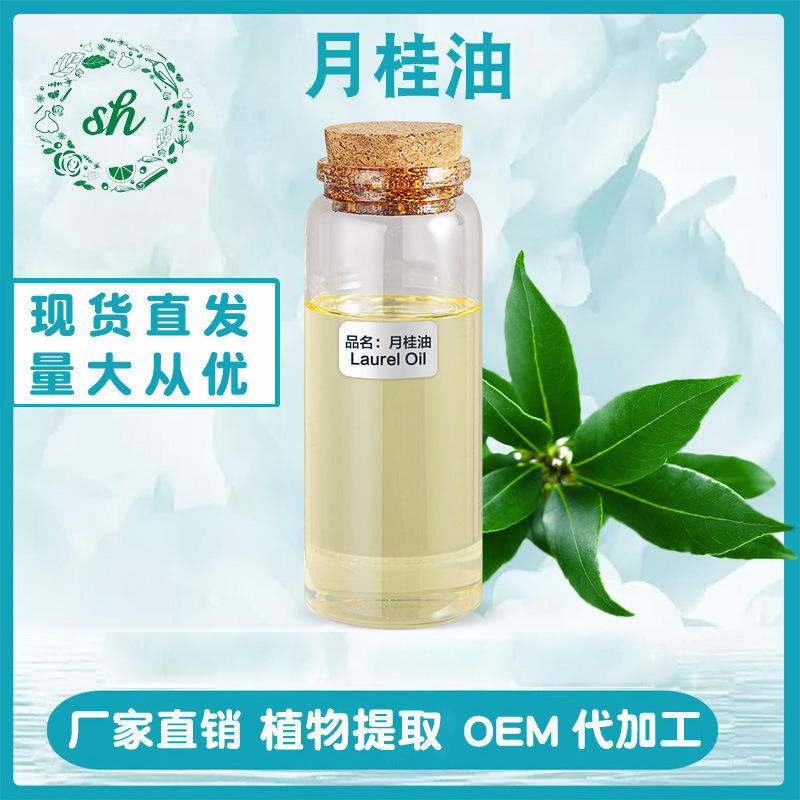 月桂油 月桂精油 月桂葉油 單方植物精油 廠家直銷 量大價優(yōu) 現(xiàn)貨