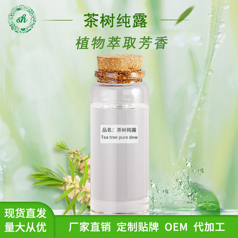 茶樹純露 植物提取液 可用于化妝品原料 飽和純露水 廠家直銷價(jià)優(yōu)
