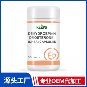 脫氫表雄酮(DHEA)膠囊 OEM/ODM貼牌代加工批發(fā)定制