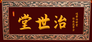 安徽省治世堂藥業(yè)有限公司