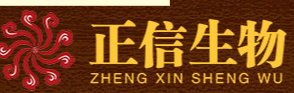 泰安正信科技有限責任公司